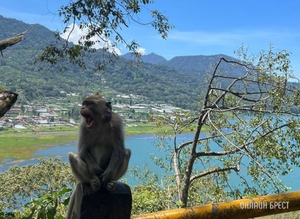 Названы страны, где в 2024 году вводят или повышают налоги для туристов Названы страны, где в 2024 году вводят или повышают налоги для туристов
