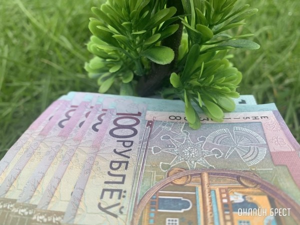 Зарплата от 3000 рублей: кому и за что в Беларуси готовы платить такие деньги Зарплата от 3000 рублей: кому и за что в Беларуси готовы платить такие деньги