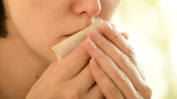 Заболели во время отпуска? Узнали, как его можно продлить Заболели во время отпуска? Узнали, как его можно продлить