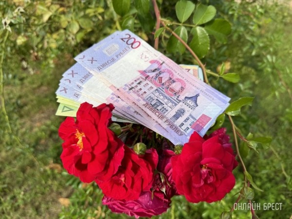 ТОП-10 регионов Беларуси с самыми низкими зарплатами ТОП-10 регионов Беларуси с самыми низкими зарплатами